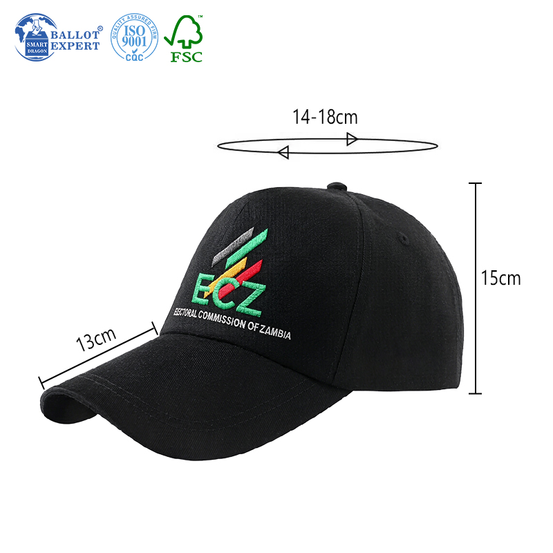 Campaign Identity Baseball Cap  5